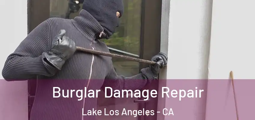  Burglar Damage Repair Lake Los Angeles - CA
