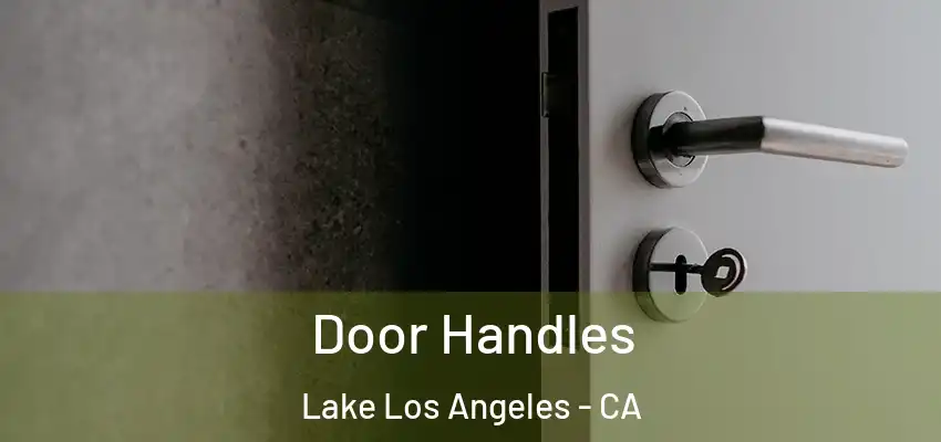 Door Handles Lake Los Angeles - CA