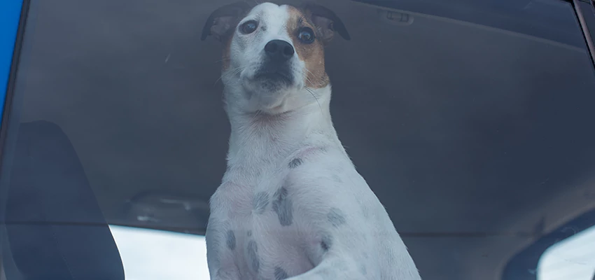 Car Lockout Solutions in Lake Los Angeles, California